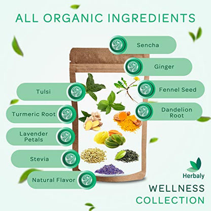 Herbaly Wellness Collection Organic Herbal Ginger Tea, 70 g, 28 Count Bag (Pack of 1)