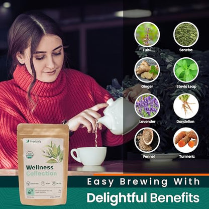 Herbaly Wellness Collection Organic Herbal Ginger Tea, 70 g, 28 Count Bag (Pack of 1)