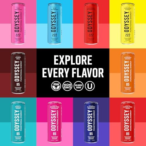 Functional Energy Drink Focus Cognition Mood Support Adaptogen Drink Green Tea Caffeine Lion’s Mane Cordyceps L Theanine Ginseng 12 Pack