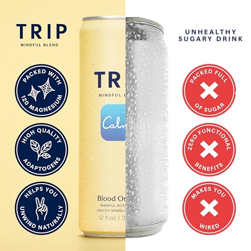 Mindful Blend Sparkling Adaptogen Seltzer Magnesium Citrate Ashwagandha Lion’s Mane L Theanine No Sugar Vegan Variety Pack 12oz Pack of 12
