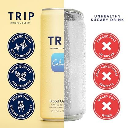 Mindful Blend Sparkling Adaptogen Seltzer Magnesium Citrate Ashwagandha Lion’s Mane L Theanine No Sugar Vegan Variety Pack 12oz Pack of 12