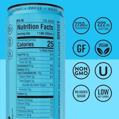 Functional Energy Drink Focus Cognition Mood Support Adaptogen Drink Green Tea Caffeine Lion’s Mane Cordyceps L Theanine Ginseng 12 Pack