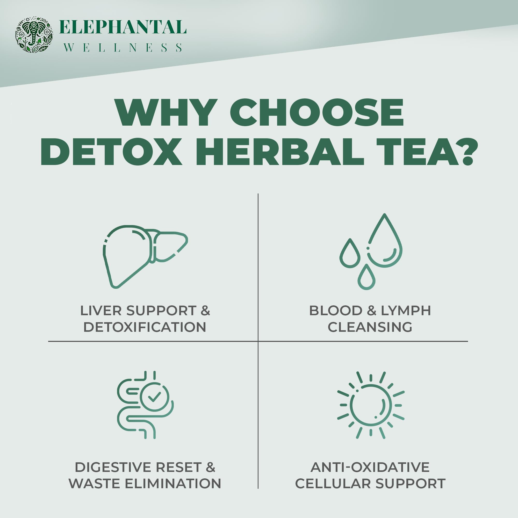 Elephantal Wellness Hormonal & Internal Balance