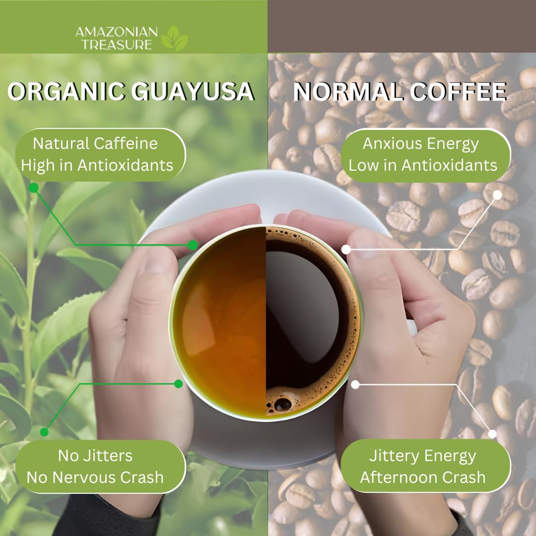 Organic Guayusa Tea Bags with Natural Caffeine Energy Focus Tin 60 Count
