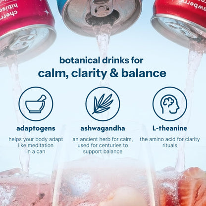 Botanical Sparkling Soda Adaptogen Drink Calm Clarity Relaxation L Theanine Ashwagandha Sugar Free Caffeine Free