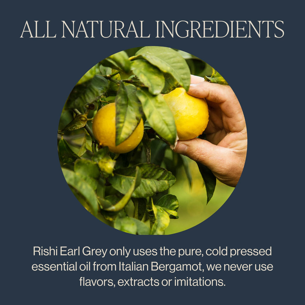Earl Grey Black Tea Sachet Bags with Bergamot Oil Organic Kosher