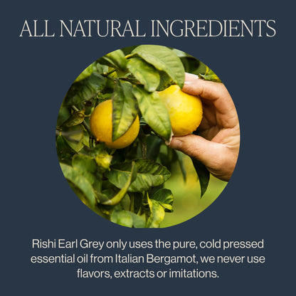 Earl Grey Black Tea Sachet Bags with Bergamot Oil Organic Kosher