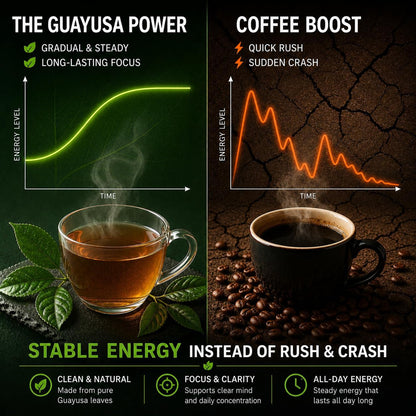 Organic Guayusa Tea Bags with Natural Caffeine Energy Focus Tin 60 Count