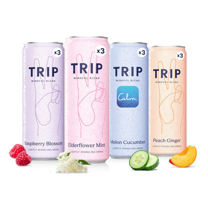 Mindful Blend Sparkling Adaptogen Seltzer Magnesium Citrate Ashwagandha Lion’s Mane L Theanine No Sugar Vegan Variety Pack 12oz Pack of 12