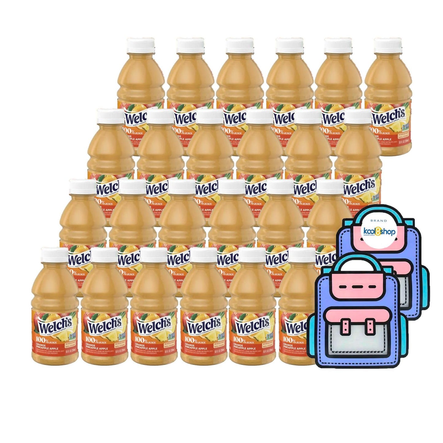 Juice Drink Bottle Variety Pack 10oz 24 Pack with Reusable Snack Bags Fruit Beverage Bottled Drinks