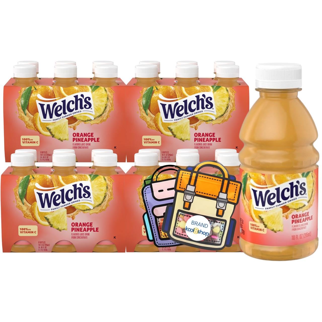Juice Drink Bottle Variety Pack 10oz 24 Pack with Reusable Snack Bags Fruit Beverage Bottled Drinks