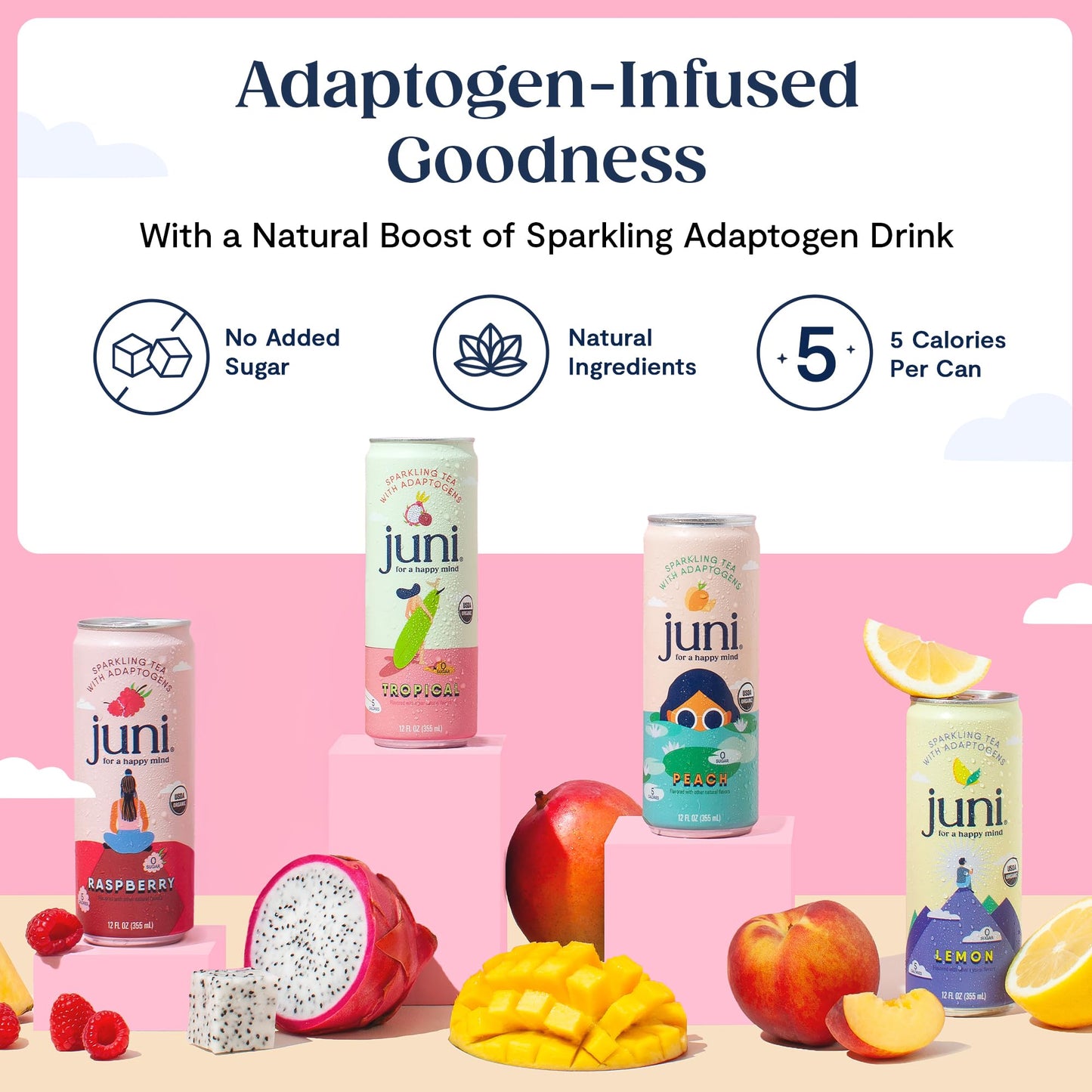 Sparkling Adaptogen Drink Ashwagandha Lion’s Mane Reishi Mushroom Green Tea Focus Zero Sugar Low Calorie Organic 12 Pack