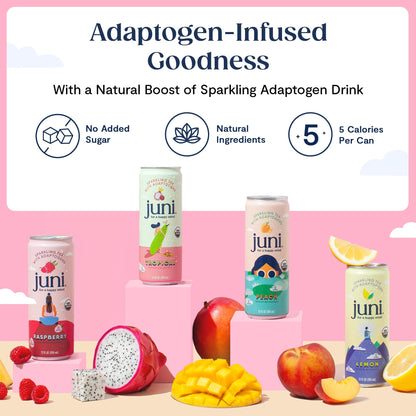Sparkling Adaptogen Drink Ashwagandha Lion’s Mane Reishi Mushroom Green Tea Focus Zero Sugar Low Calorie Organic 12 Pack