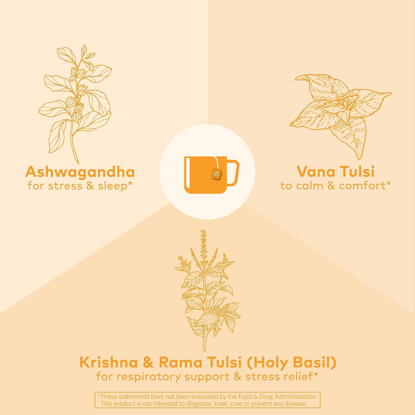 Organic India-Tea-6Packs