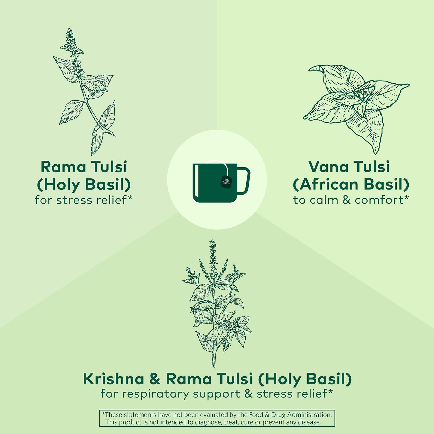 Organic Tulsi Herbal Tea Holy Basil Stress Relief Caffeine Free Immune Support Tea Bags 6 Pack