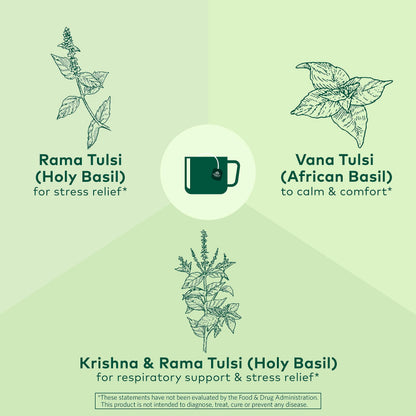 Organic Tulsi Herbal Tea Holy Basil Stress Relief Caffeine Free Immune Support Tea Bags 6 Pack