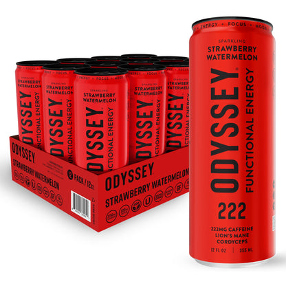 Functional Energy Drink Focus Cognition Mood Support Adaptogen Drink Green Tea Caffeine Lion’s Mane Cordyceps L Theanine Ginseng 12 Pack