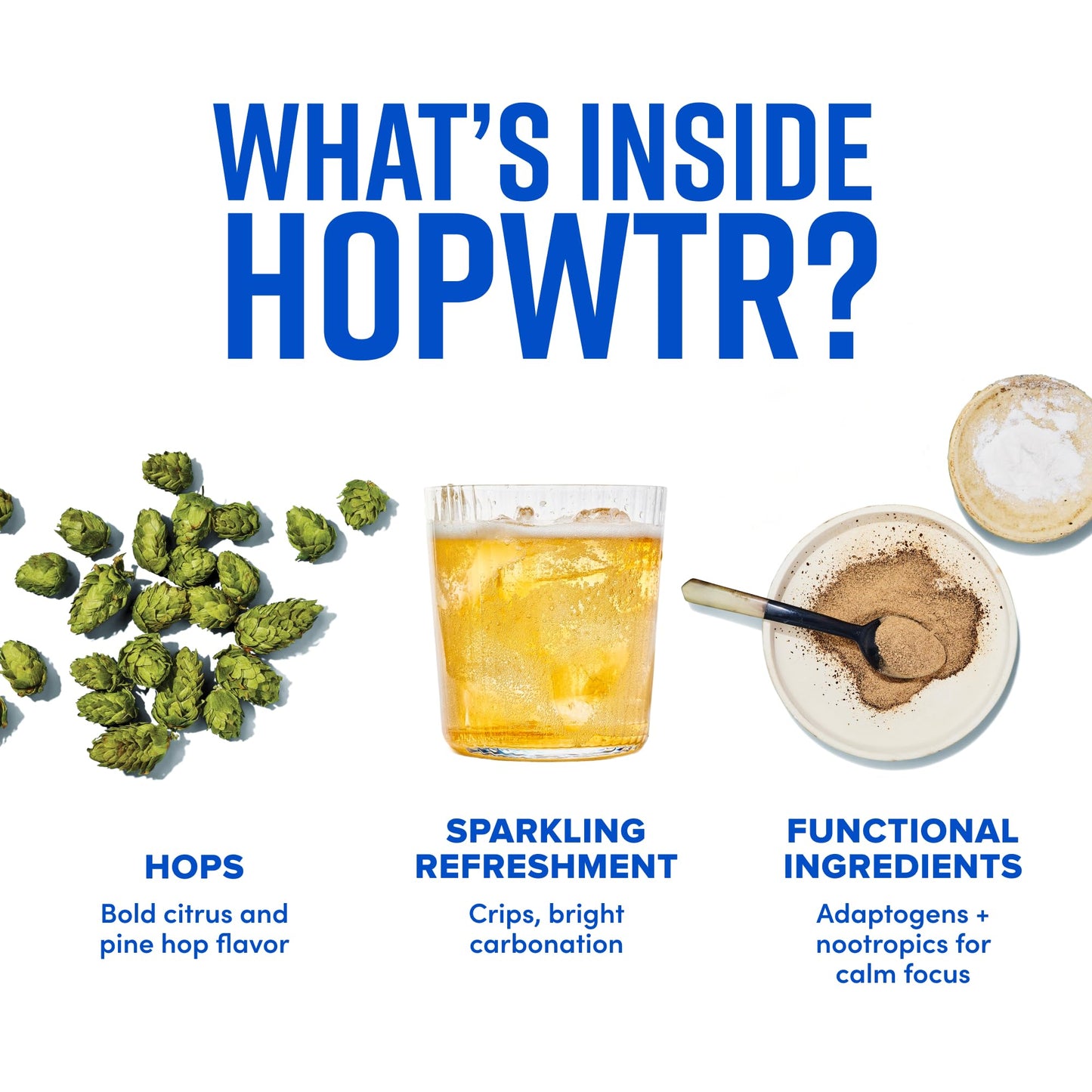 Sparkling Hop Water Variety Pack Sugar Free Low Calorie Non Alcoholic Drink 12oz Cans Pack of 12