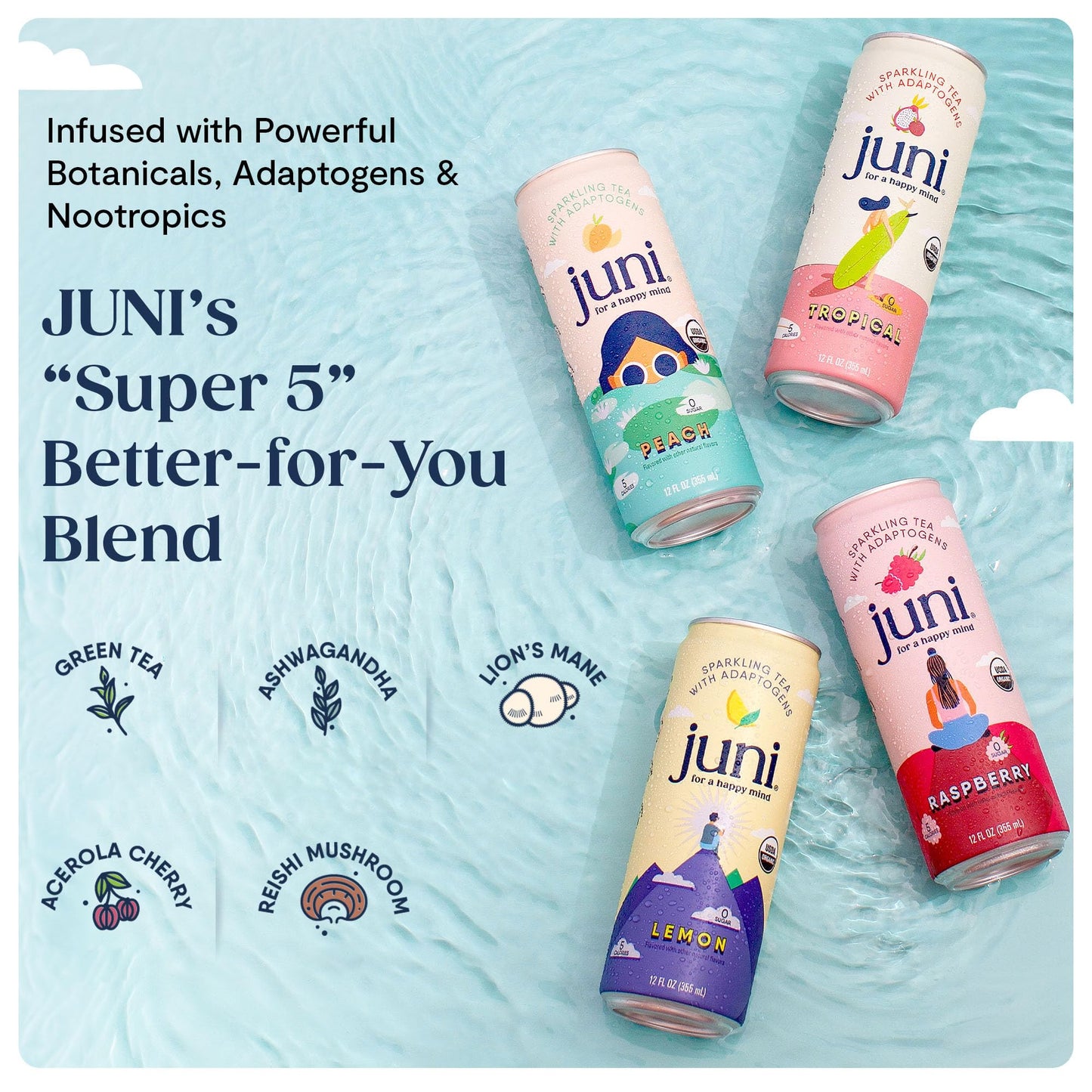 Sparkling Adaptogen Drink Ashwagandha Lion’s Mane Reishi Mushroom Green Tea Focus Zero Sugar Low Calorie Organic 12 Pack