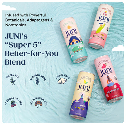 Sparkling Adaptogen Drink Ashwagandha Lion’s Mane Reishi Mushroom Green Tea Focus Zero Sugar Low Calorie Organic 12 Pack