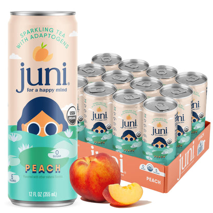 Sparkling Adaptogen Drink Ashwagandha Lion’s Mane Reishi Mushroom Green Tea Focus Zero Sugar Low Calorie Organic 12 Pack