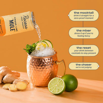 Zero Proof Craft Mocktail Adaptogen Alcohol Free Beverage Mixer Celebration Drink Party Can