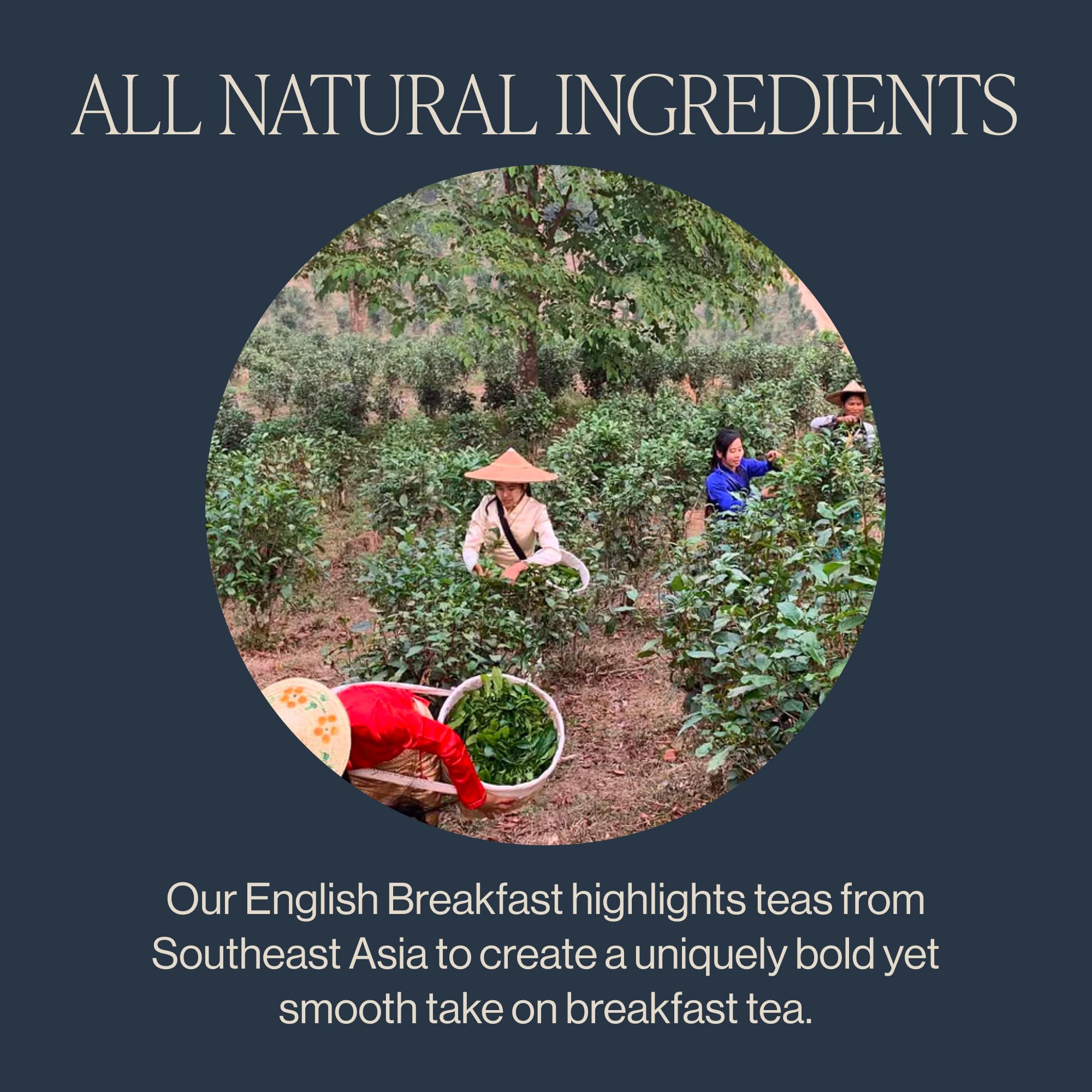 Rishi Tea English Breakfast Tea