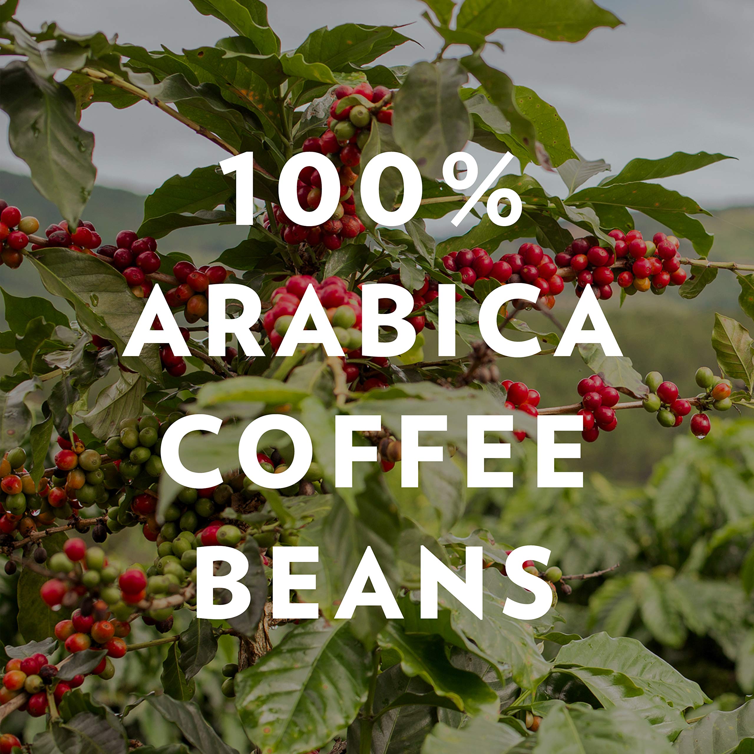 New Orleans Style Dark Roast Ground Coffee Bold Blend 12oz Bags Pack of 6 72oz Total