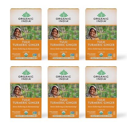 Organic India-Tea-6Packs